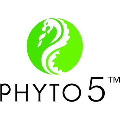 PHYTO5 - Wood Element Skin Clarifying Night Cream
