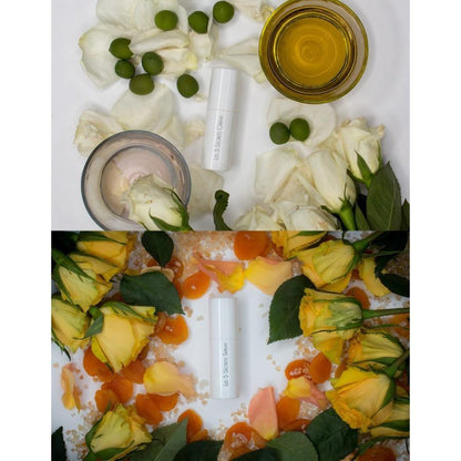 PHYTO 5 - Ageless La Cure - Cream & Serum Kit - Breizh Esthetic & Salon Supply - 3